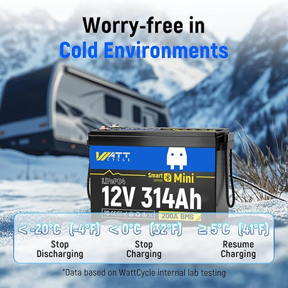 12V 314Ah Lithium LiFePO4 Battery Mini with Bluetooth 5.0 BMS 200A, 4.01kWh Energy, Upgraded Aluminum Cooling Fins & Braided Copper Wires, upporting devices over 2000W (2 PCAK)