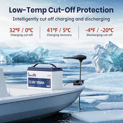 12V 100Ah TM Low-Temp Protection LiFePO4 Battery, Timeusb Group 31 Deep Cycle Battery, Lithium Iron Phosphate Battery for Trolling Motor, RV, Solar, Travel Trailer, Energy Storage- Off Grid