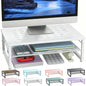 gianotter 2-Tier Metal Monitor Stand Riser