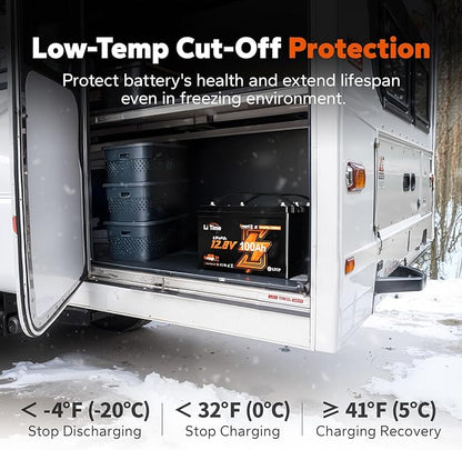 LiTime 12V 100Ah LiFePO4 Group 31 Battery, Compatible with Victron, Built-in 100A BMS & Bluetooth, Low-Temperature Protection, CAN/RS485 Communication, Ideal for Trolling Motors, Marine, RV (2Pack)