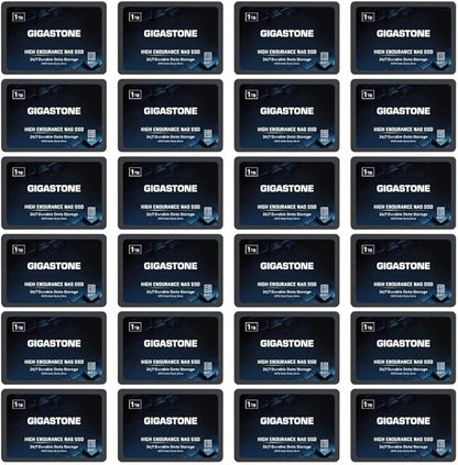 Gigastone 1TB NAS SSD Drive (24-Pack) 24/7 Durable TLC High Endurance RAID Data Storage Network Attached Storage 2.5" SATA Internal Solid State Hard Drives