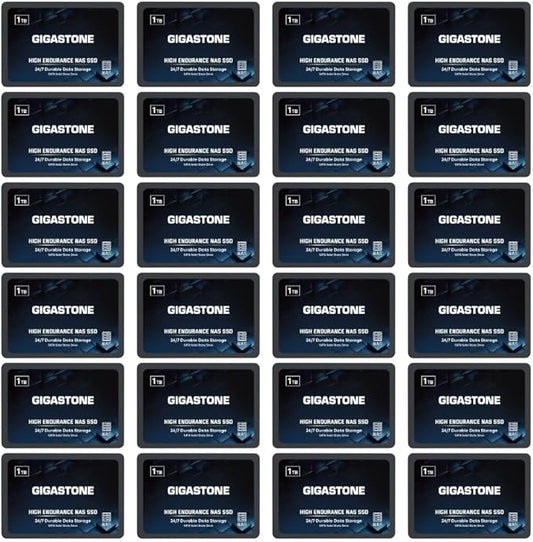 Gigastone 【NAS Certified】 1TB High Endurance SSD (24-Pack) for Gaming/PC/Laptop/NAS SSD TLC 24/7 Reliable 2.5" SATA Internal Solid State Drives RAID Data Storage 2.5 inches SATA 3.0