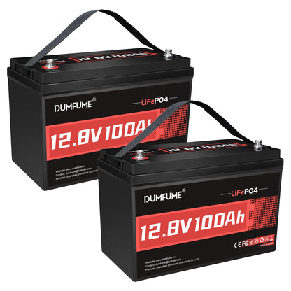 2 Packs 12V 100Ah LiFePO4 Lithium Battery, Built in 100A BMS, 1280W Power Output, Up To 6000+ Cycles, Ideal For RV, Solar Off-Grid Systems, Home Energy Storage