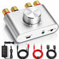 Facmogu M6 Mini Bluetooth 5.0 Stereo Amplifier, 100W x 2 HiFi Audio Amp