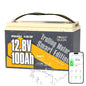 Power Queen 12V 200Ah PLUS LiFePO4 Lithium Battery with 200A BMS for RV