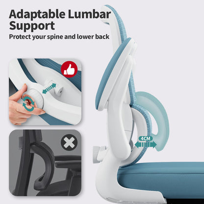 TRALT Office Chair - Ergonomic Desk Chair with Adjustable Lumbar Support, Mesh Computer Chair, Executive Chair for Home Office Comfortable Lumbar Support (1, Sky Blue)