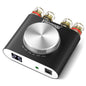 Facmogu M6 Mini Bluetooth 5.0 Stereo Amplifier, 100W x 2 HiFi Audio Amp