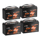 Litime 12V 100Ah LiFePO4 Battery, Compatible with Victron System for RV