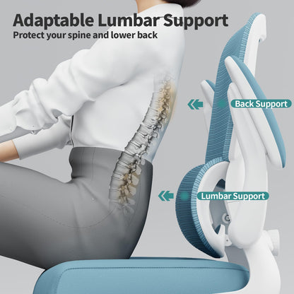 TRALT Office Chair - Ergonomic Desk Chair with Adjustable Lumbar Support, Mesh Computer Chair, Executive Chair for Home Office Comfortable Lumbar Support (1, Sky Blue)