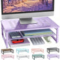 gianotter 2-Tier Metal Monitor Stand Riser