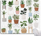 Hokafenle Mouse Pad, Square Personalized Computer Mouse Pads with House Plants Design, Washable Mouse Mat, Office Home Non-Slip Rubber Base Mousepad