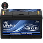 TPE BCI Group31 Car Start Stop System LiFePO4 Lithium-ion Battery 12.8V 100AH 1500A 1280WH Lightweight High Performance Battery Level Display Dual Port