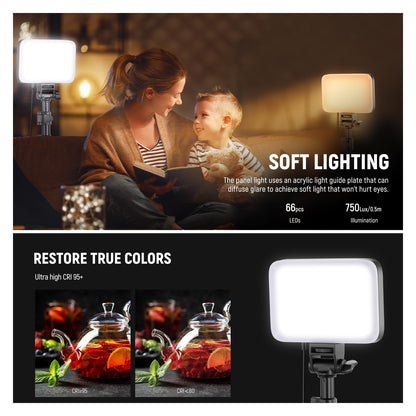 NEEWER Basics 2 Pack LED Video Light Panel Lighting Kit, Bi Color Dimmable Portable Studio Lights with Stands & Filters, 3200K-5600K 750lux CRI95 for Video Recording Live Streaming Photography, BP66