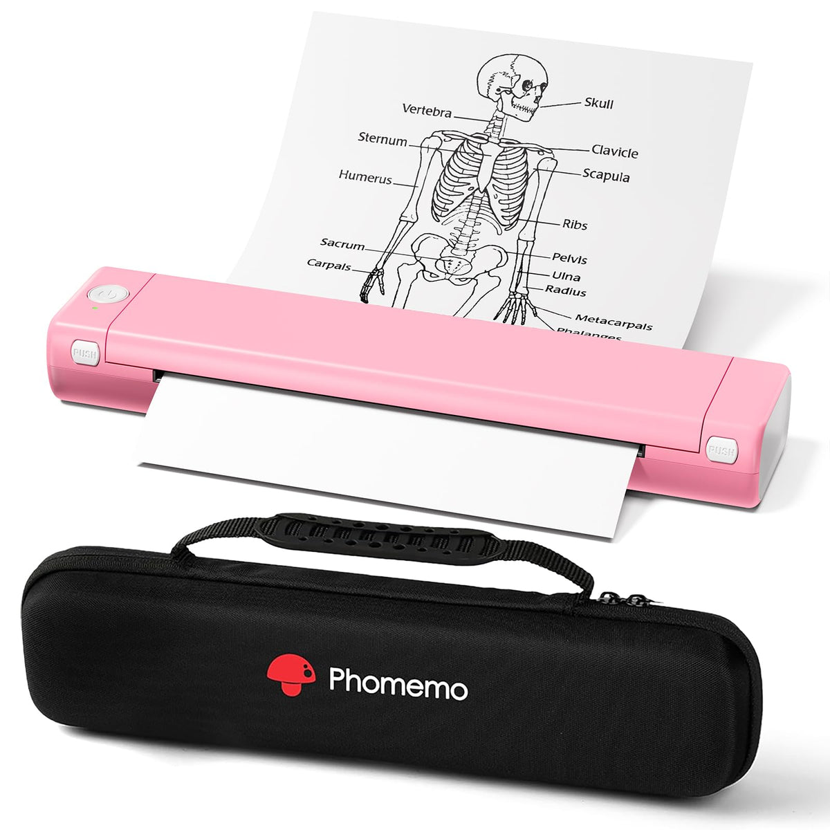 Phomemo Portable Printers Wireless for Travel, M08F Thermal Bluetooth Printer Support for 8.5"x11" US Letter, Small Inkless Printer Compatible with iOS, Android, Laptop for Car, Office, Home