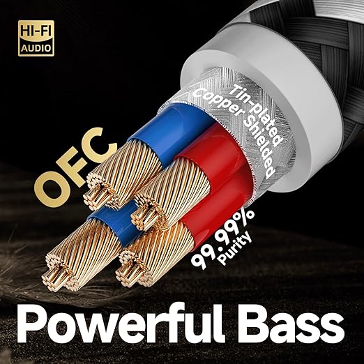 TODN RCA Cables Audiophile Male to Male Stereo Shielded HiFi OFC Car Audio RCA Cable for Sub, Amp, Phono (3ft/1m, 1 Pair)