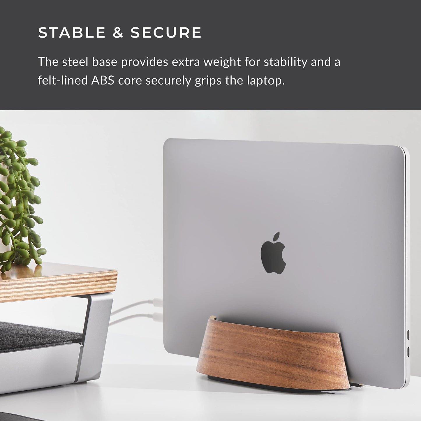 HumanCentric Vertical Laptop Stand in Black Walnut Wood, Adjustable