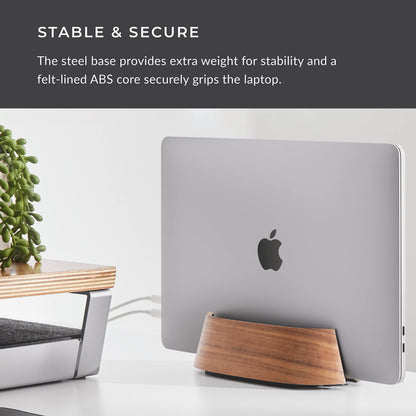 HumanCentric Vertical Laptop Stand in Black Walnut Wood, Adjustable