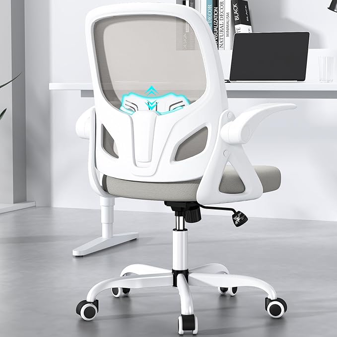 Home Desk Chair with Back Supportive Lumbar Support, Breathable Double Mesh Cushion Home Desk Office Chair with Flip up Arms, Modern Ergonomic Home Office Chair for Work(Gray)