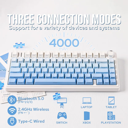 EPOMAKER x Aula F75 Gasket Mechanical Keyboard, 75% Wireless Hot Swappable Gaming Keyboard with Five-Layer Padding&Knob, BT/2.4GHz/USB-C, RGB (Blue Gradient, LEOBOG Reaper Switch)