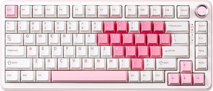 YUNZII B75 PRO Wireless Mechanical Keyboard,75% Layout with Knob,Hot Swap Gasket Structure,Creamy Pre-lubed Switches,RGB Backlit,Bluetooth/Type-C/2.4G for Win/Mac (White, Cocoa Cream V2 Switch)