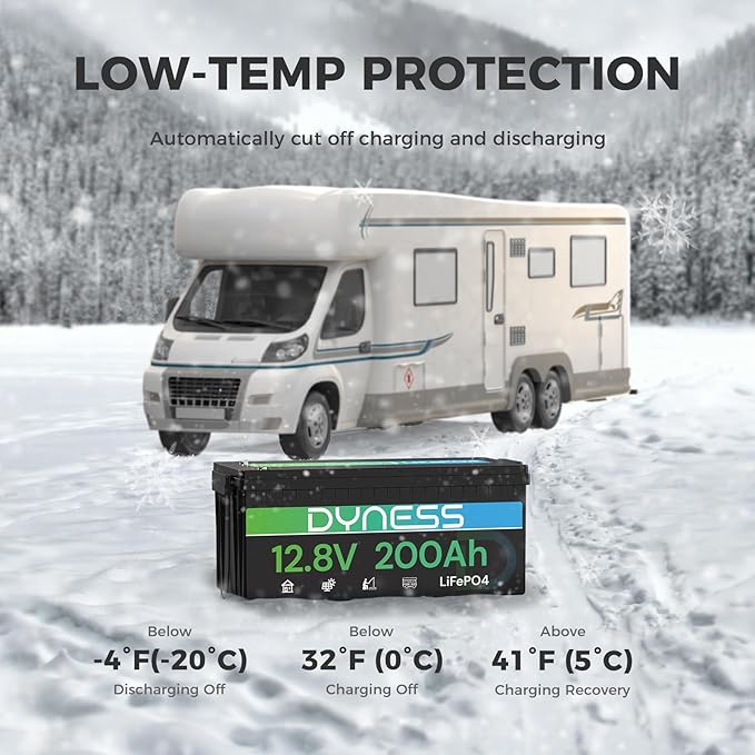 Dyness 12V 200Ah PLUS LiFePO4 Battery, Max. 2560Wh Power, 12.8V LiFePO4 Battery Upgrade 200A BMS with Low-Temp Protection, 4000+ Deep Cycles 12V Lithium Battery Perfect for RV, Solar System, Off-Grid