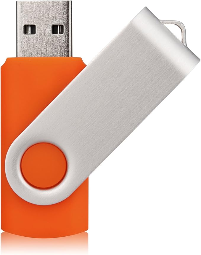 Aiibe 10 Pack 128GB Flash Drive USB Drive Thumb Drives USB 2.0 Memory Stick Jump Drives 128GB USB Flash Drive Bulk (10 Mixed Colors: Black Blue Red Green Orange White Yellow Pink Purple Silver)