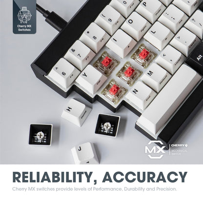BAROCCOMiSTEL MD600 V3 RGB ORCA TKL Ergonomic Mechanical Keyboard, Cherry MX, Split Layout, PBT DoubleShot Keycap, Windows OS Compatible (Silent Red)