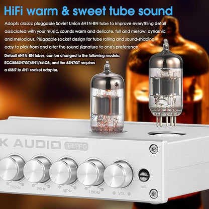 Douk Audio HiFi Vacuum Tube 7-Band EQ Preamp Equalizer XLR Pre-Amplifier Home (T8 PRO Silver)