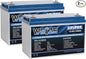 WEIZE 12V 100Ah LiFePO4 Battery Group 31 Lithium Battery, Built-in 100A BMS, Low Temperature Protection Deep Cycle Battery for Trolling Motor, RV, Solar, Marine, Camping, Home Energy Storage (2 Packs)
