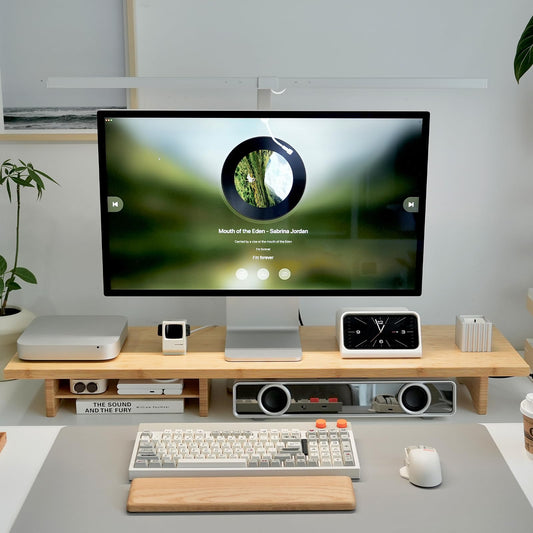 ROCDEER Bamboo Dual Monitor Stand Riser, 2-Tier Desk Shelf with Storage