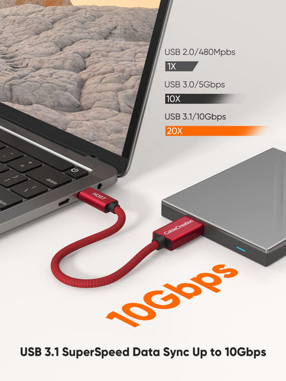 CableCreation USB C to Micro B Short Cable 1FT, 10G Micro B to USB C 3.1 External Hard Drive Cable for iPhone 15/16/17,Samsung Galaxy S24,Seagate WD Westgate My Passport,MacBook Pro/Air, iPad/Tablet