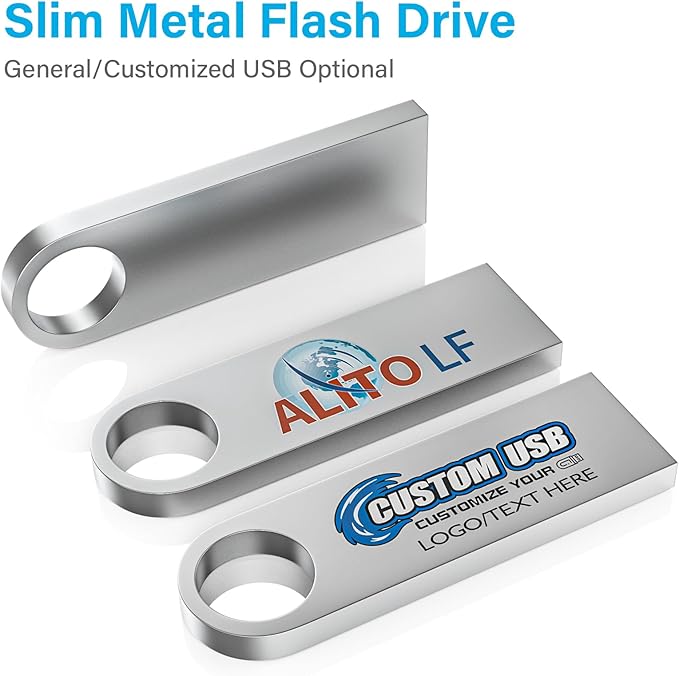 ABLAZE 2GB Flash Drive 10 Pack, Metal USB 2.0 Thumb Drives with Keychains USB Sticks Pendrives (Sliver)