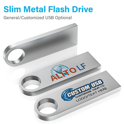 ABLAZE 1GB Flash Drive 10 Pack, Metal USB 2.0 Thumb Drives with Keychains