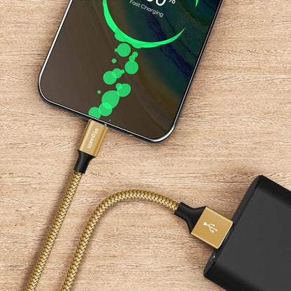etguuds 4ft USB A to USB C Cable 3A Fast Charging, 2-Pack USB A to USB Type C Charger Cord for iPhone 16 15 Pro/Pro Max/Plus, for Samsung Galaxy S24 S23 S22 S21 S20 S10 A55 A54 Flip Note, Moto, Gold