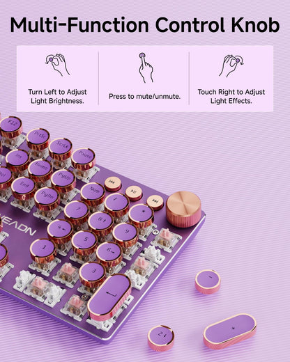 EWEADN Wired Typewriter Mechanical Keyboard, Low Noise Pink Switch Retro Punk Keyboard with Media Knob, White Backlit, Metal Panel, 104-Key Round Keycaps Cute Keyboard for Windows PC -Purple