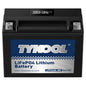TYKOOL LFP20CH-BS-PRO LiFePO4 Lithium Battery, Replaces YTX20CH-BS YTX20CH, 420CCA 7Ah fits for BMW K1600GT GTL R1250RT R1200RT (2014-2023) Suzuki KingQuad 750 (2008-2024), [- +]