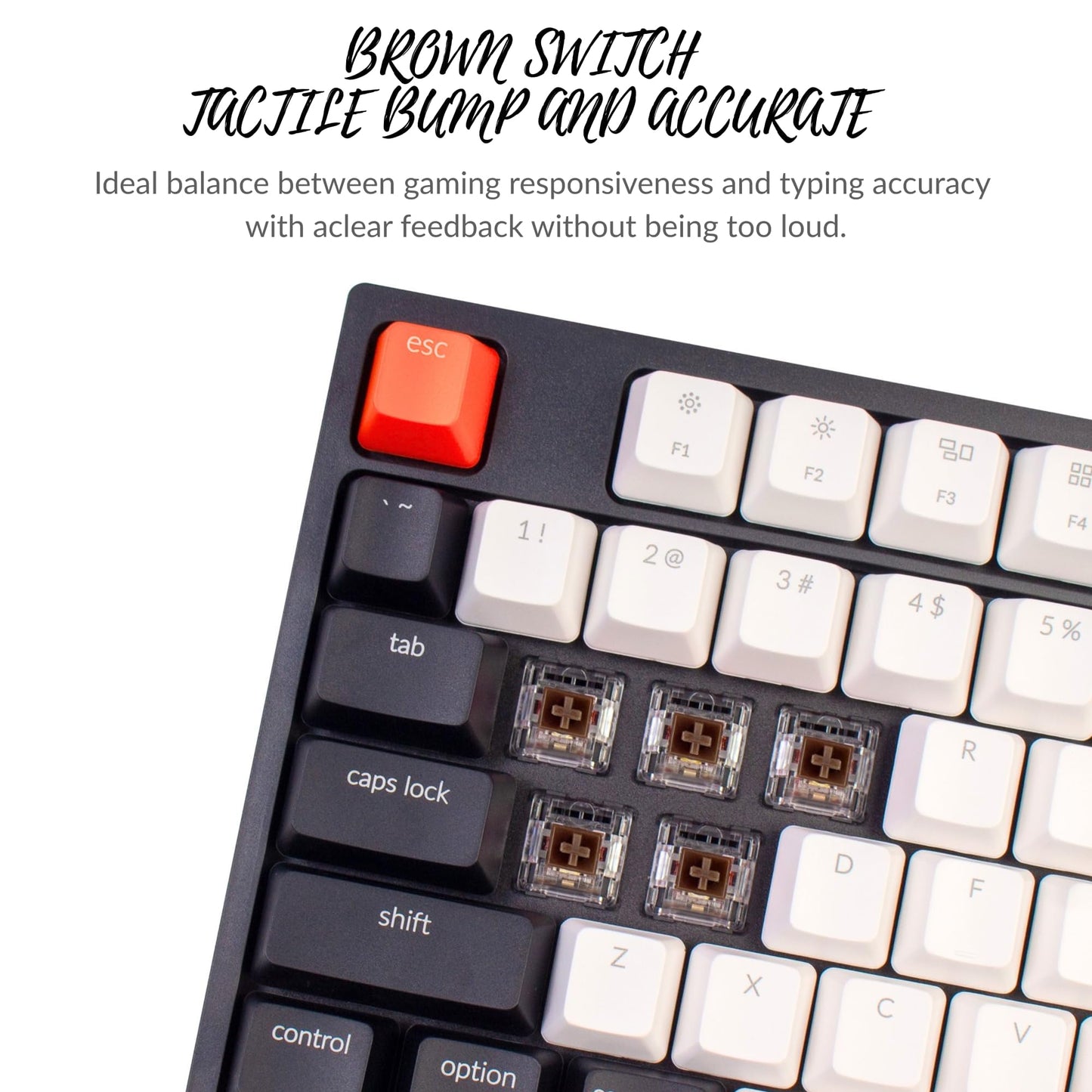 Keychron C1 Wired Mechanical Keyboard TKL, RGB Backlit with Double-Shot ABS Keycaps, 87 Keys Hot-Swappable Pre-lubed Tactile Switch Compatible with Mac Windows