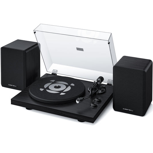 QLEARSOUL SoulBox S1 Vinyl Record Player with Stereo Speakers