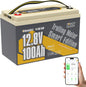 Power Queen 12V 100Ah LiFePO4 Lithium Battery, Group 24 for RV Trailer
