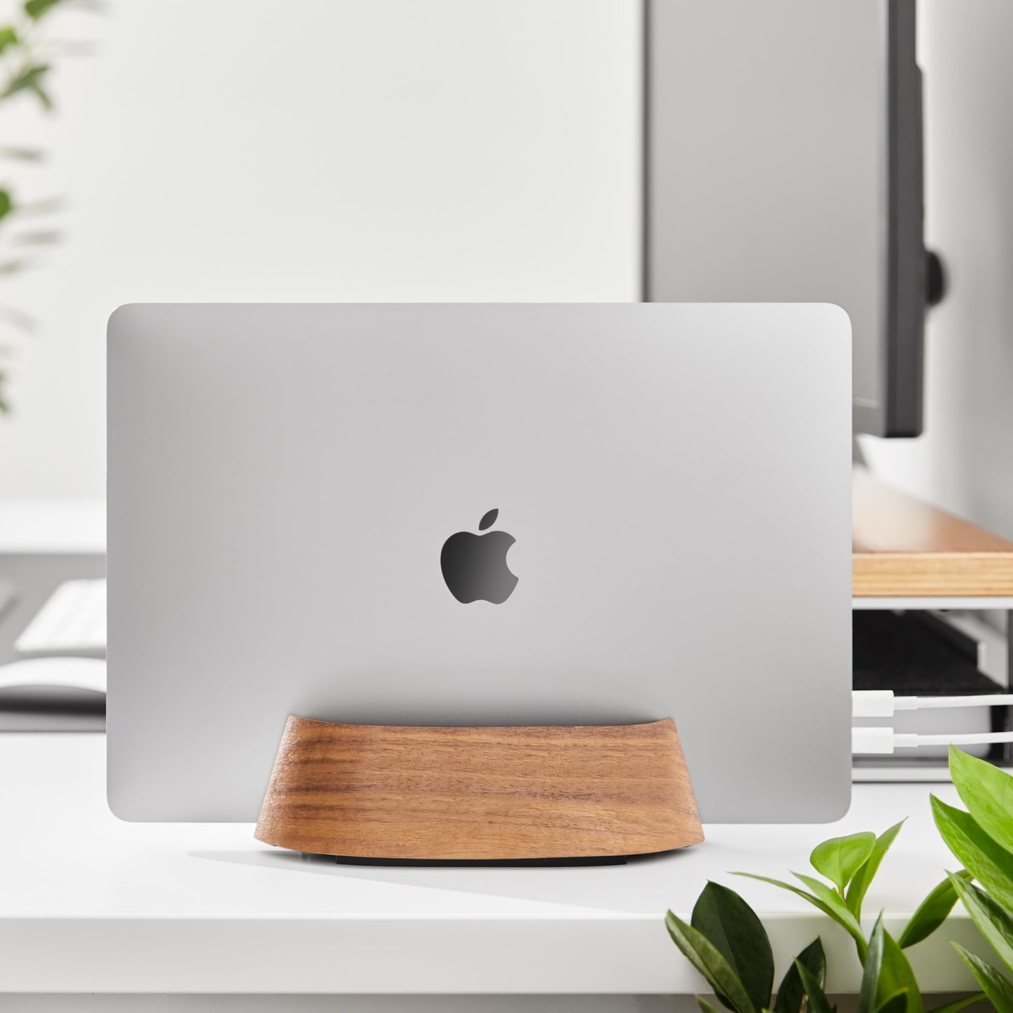 HumanCentric Vertical Laptop Stand in Black Walnut Wood, Adjustable
