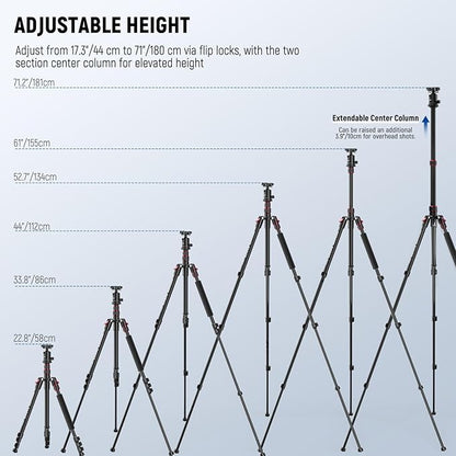 NEEWER Basics Camera Tripod Monopod, 71" Aluminum Heavy Duty Portable Travel DSLR Cell Phone Stand with 360° Ball Head Cellphone Holder Mount Compatible with iPhone for Filming Video Recording, TP15