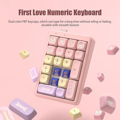 NumberPad,21Keys HotSwappable Numpad,Bluetooth5.0/2.4G/Type-C Wireless Numeric Keypad,Rechargeable Number keypad,RGB Gasket Structure Mechanical Keyboard with PBT Keycap for PC Laptop Notebook