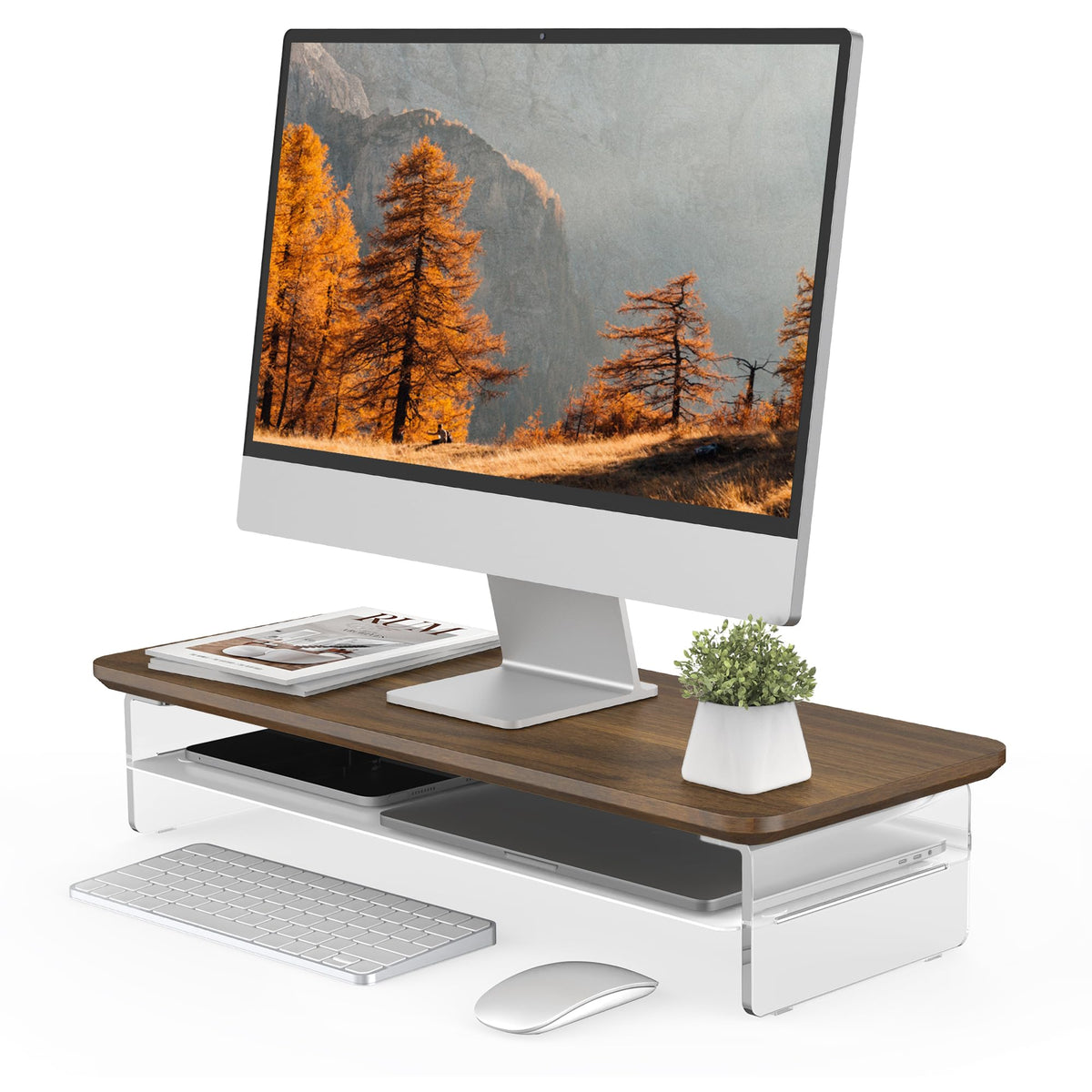 Fenge 42.5" Dual Monitor Stand with Clear Acrylic Legs, Black