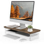 Fenge 42.5" Dual Monitor Stand with Clear Acrylic Legs, Black