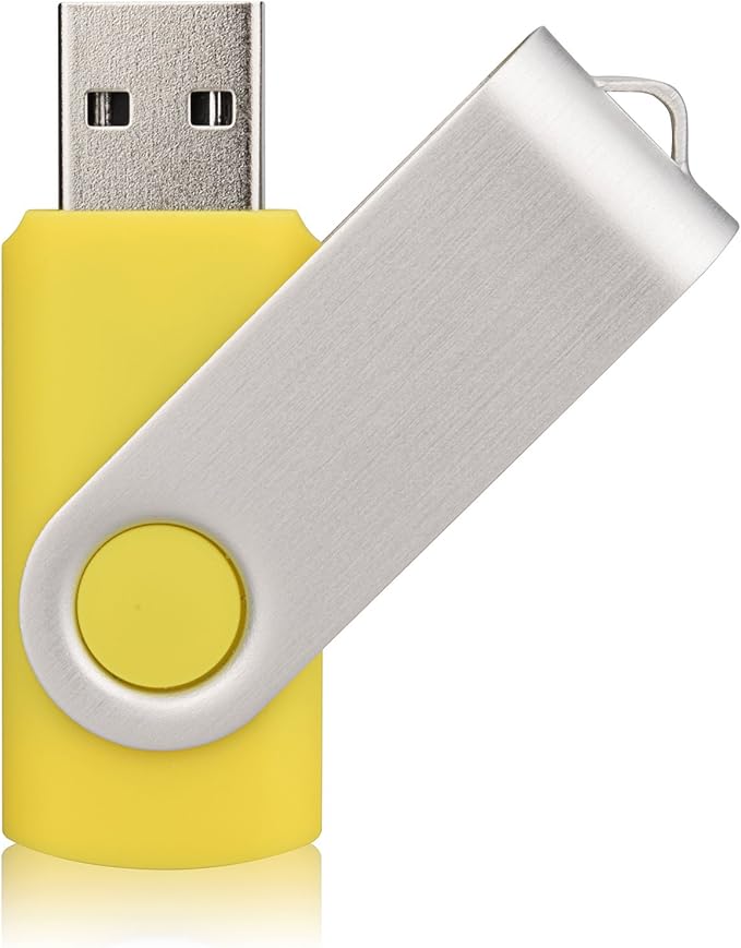 Aiibe 10 Pack 64 GB USB Flash Drives Thumb Drive Jump Drives 64GB 2.0 Flash Drive Bulk (10 Mixed Colors: Black Blue Red Green Orange White Yellow Pink Purple Silver)