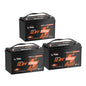 Litime 12V 100Ah LiFePO4 Battery, Compatible with Victron System for RV