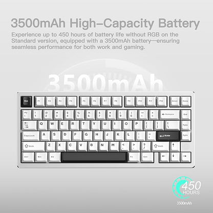 KEEBMONKEY WOBKEY Rainy 75 CNC Aluminum HMX/JWK/Cocoa Switches Triple-Mode Connectivity Mechanical Keyboard with Superior Acoustics, No RGB/PP/Mirrored Glass/3500mAh/Violet Switch (Lite - Silver)