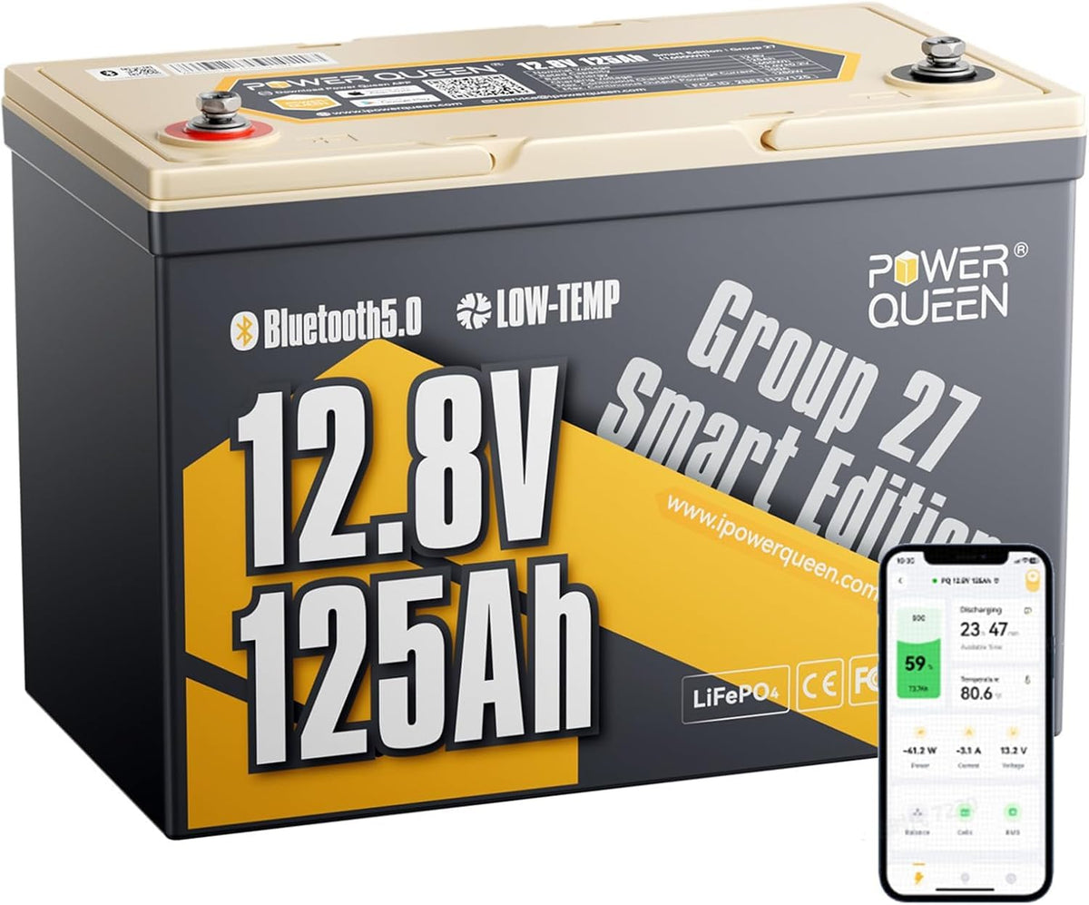 Power Queen 12V 100Ah LiFePO4 Lithium Battery, Group 24 for RV Trailer