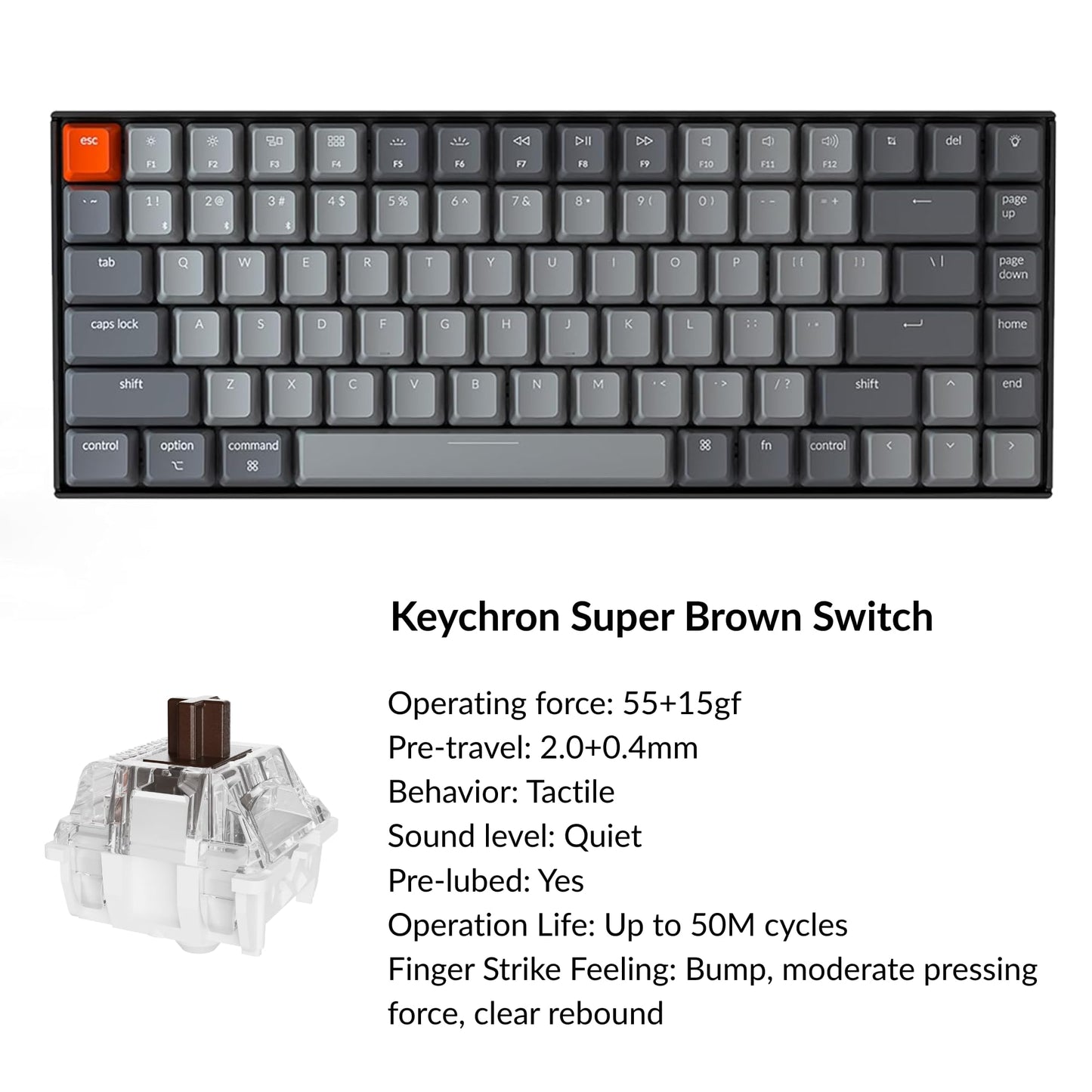 Keychron K2 75% Layout Bluetooth Wireless Mechanical Keyboard Super Switch/White LED Backlit/USB C/Anti Ghosting/N-Key Rollover, 84 Keys Gaming Keyboard for Mac Windows-Version 2