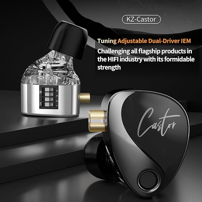 KZ Castor in-Ear Monitor Dual-Dynamic Drivers Headphones with 4 Tuning Switches HiFi Noise Cancelling Earphones, Clarity Stereo Sound Earbuds for Audio Engineers, Musicians(Silver, with Mic)